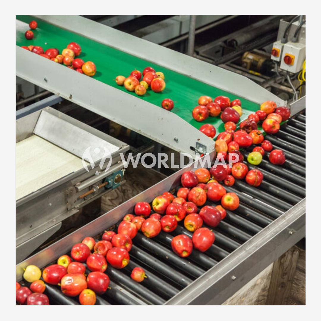 Portable Belt Conveyor Manufacturers in Mumbai, Suppliers and Exporters in Mumbai | Worldmap Autocontrol System